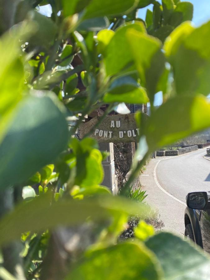 فندق Au Pont D'Olt Saint-Côme-dʼOlt المظهر الخارجي الصورة